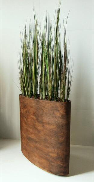 monstera burl marx 6" Monstera 'Burle Marx Flame'